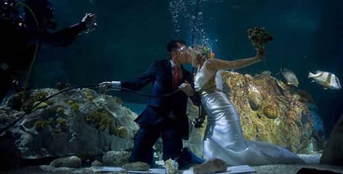 bodas debajo del agua